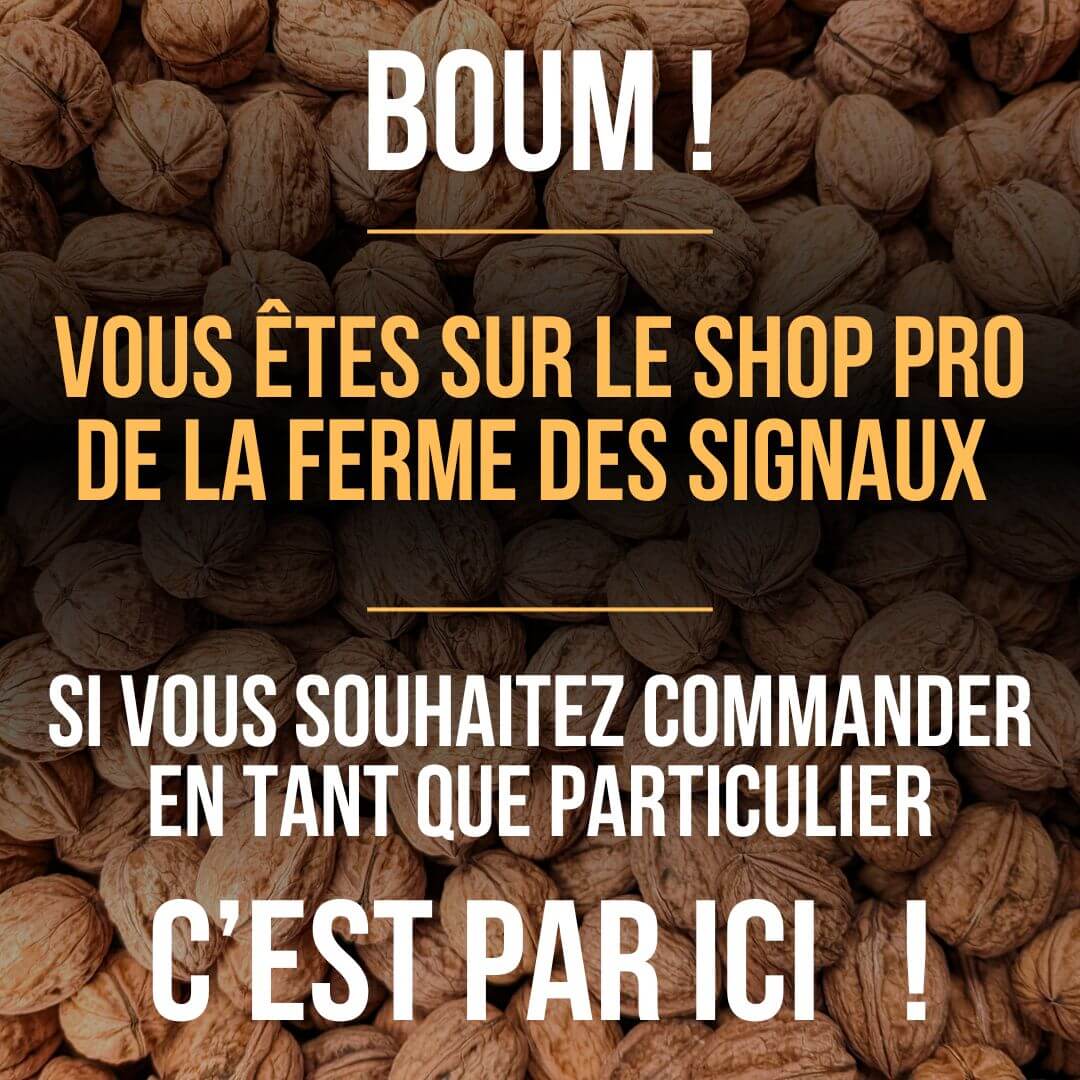 Popup annoncement rupture de stock noix de Grenoble : Découvrez nos cerneaux de Noix !